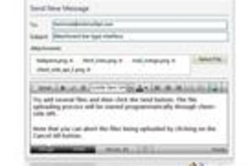 WebFileUploader预览：